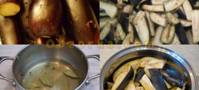 Маринованные баклажаны на зиму без стерилизации: рецепт, быстрый способ