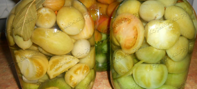 Маринованные зеленые помидоры на зиму – рецепты с фото
