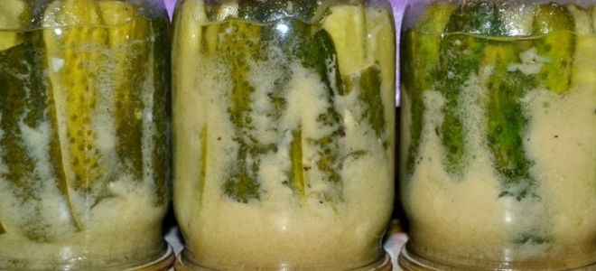 Огурцы с сухой горчицей на зиму, рецепт консервации с фото
