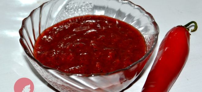 Рецепт соуса ткемали из алычи на зиму – как приготовить соус фото-рецепт