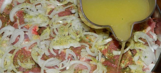 Шашлык с луком и лимоном, лимонный маринад – рецепт с фото