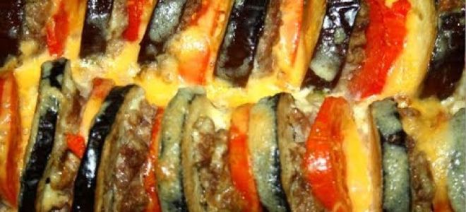 Запеченные баклажаны с фаршем в духовке, рецепты с фото