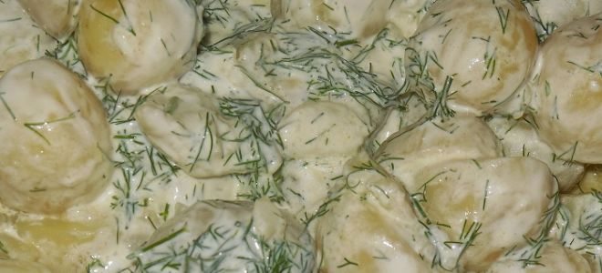 Молодая картошка в сметане с укропом рецепт с фото