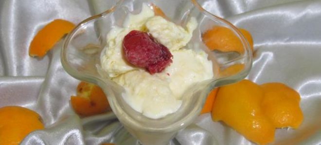 Мороженое из апельсина в домашних условиях, рецепт с фото