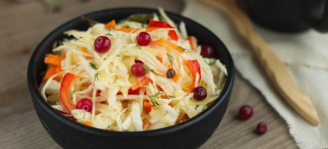 Капуста «провансаль» быстрого приготовления, классический рецепт с фото