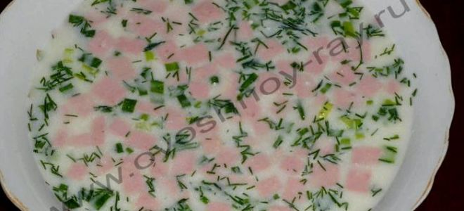 Окрошка на воде с уксусом и майонезом, рецепт с фото