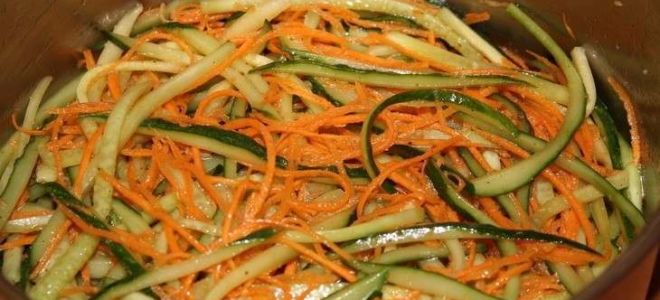 Салат из огурцов по-корейски на зиму, рецепты с фото