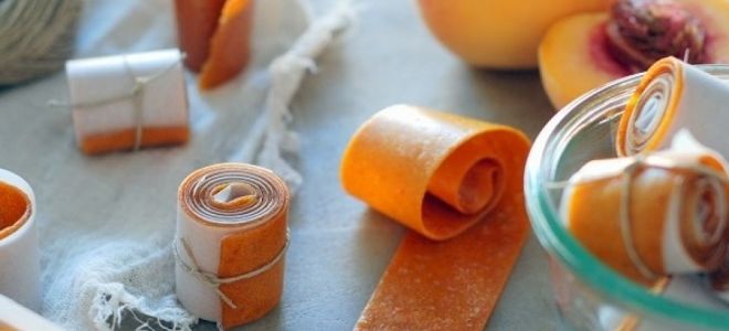Пастила из персиков в домашних условиях, рецепт с фото