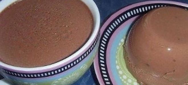 Творожное суфле с желатином и какао рецепт с фото
