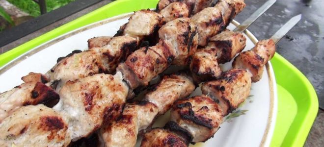 Шашлык в луковом  маринаде – 2 рецепта из свинины с фото