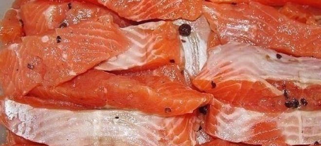 Как правильно засолить семгу в домашних условиях рецепт