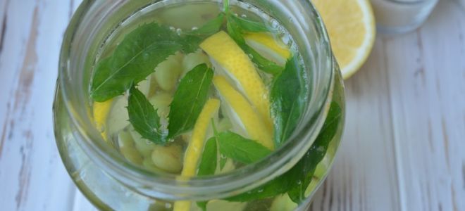 Компот из крыжовника и мятой на зиму рецепт с фото