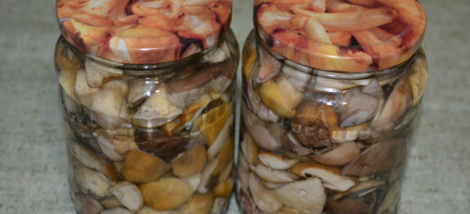 Маринованные белые грибы на зиму в домашних условиях, простой рецепт с фото