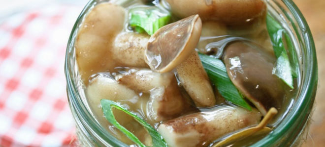 Маринованные маслята на зиму рецепт приготовления с фото
