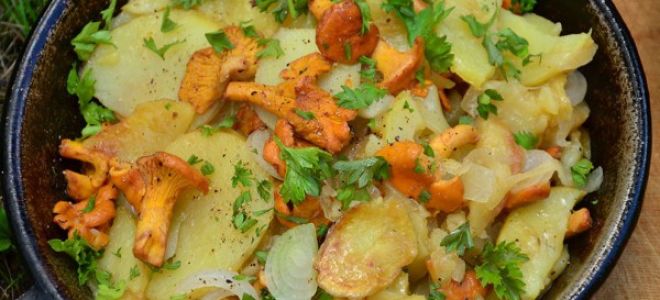 Жареные лисички с картошкой, рецепты с фото пошагово