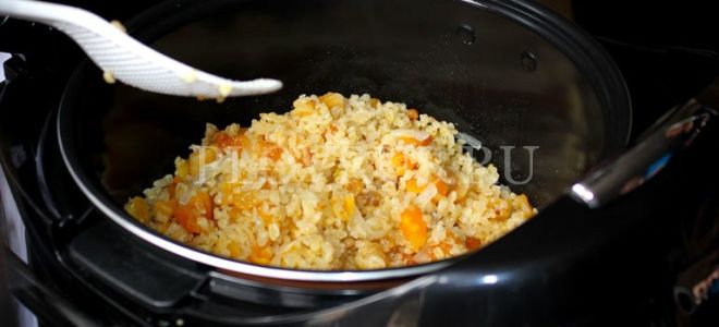 Плов с курицей и грибами в мультиварке » вкусные рецепты с пошаговыми фотографиями