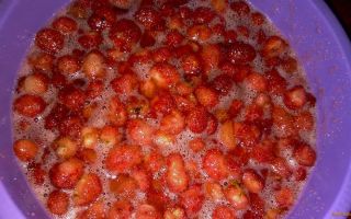 Замороженная клубника с сахаром: целыми ягодами и перетертая клубника рецепт с фото
