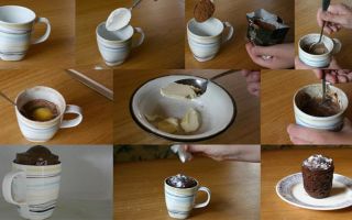 Шоколадный кекс в микроволновке в кружке за 5 минут – рецепты с фото