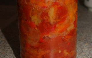 Салат из помидоров и лука на зиму рецепт с фото