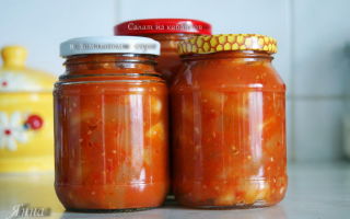 Маринованные кабачки в томатном соусе на зиму рецепт с фото