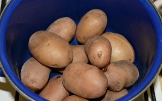 Как и сколько хранить вареную картошку в мундире и очищенную