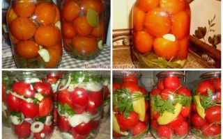 Маринованные помидоры с лимонной кислотой, сладкие – рецепт с фото