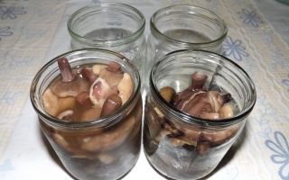 Маринованные маслята без стерилизации на зиму, рецепт с фото