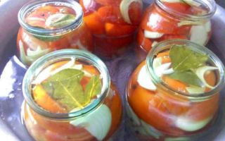 Резаные помидоры с луком на зиму рецепт заготовки с фото