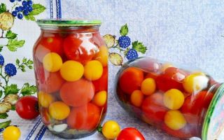 Маринованные помидоры с алычей рецепт с фото