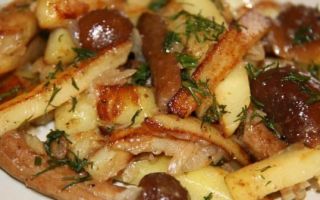 Жареная картошка с замороженными грибами, рецепт с фото