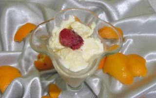 Мороженое из апельсина в домашних условиях, рецепт с фото