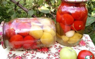 Маринованные помидоры с яблочным уксусом на зиму рецепт с фото