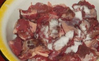 Шашлык из говядины в майонезе рецепт с фото