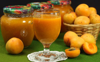 Сок из абрикосов с мякотью на зиму, рецепт с фото