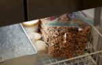 Как правильно хранить очищенные грецкие орехи