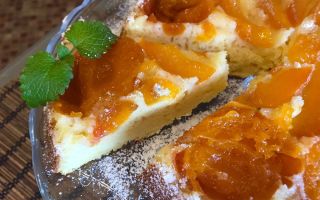 Пирог с абрикосами на кефире, рецепт с фото
