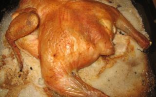 Курица в соли в духовке, рецепт с фото