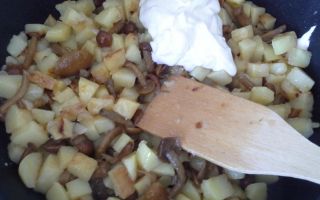 Жареная картошка с маринованными грибами – рецепт с фото