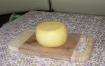 Твердый сыр в домашних условиях рецепт с фото