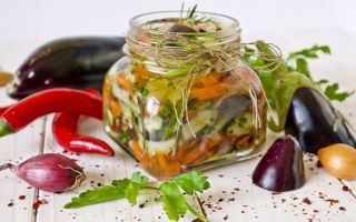 Овощной салат из синеньких на зиму рецепт с фото