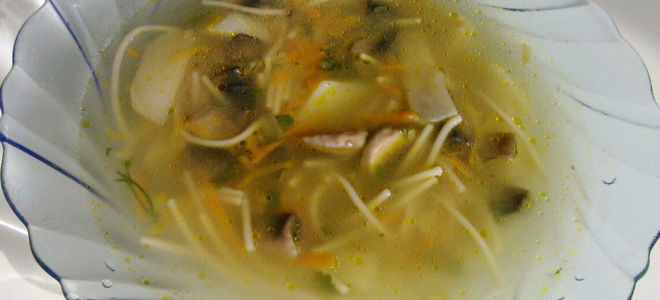 Как приготовить суп из лесных грибов – вкусные рецепты с фото