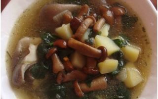 Грибной суп из опят рецепт с фото