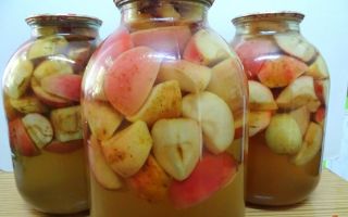 Компот из яблок без стерилизации на зиму, рецепт с фото