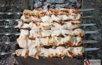 Шашлык из курицы на кефире на шампурах рецепт с фото