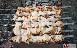 Шашлык из курицы на кефире на шампурах рецепт с фото