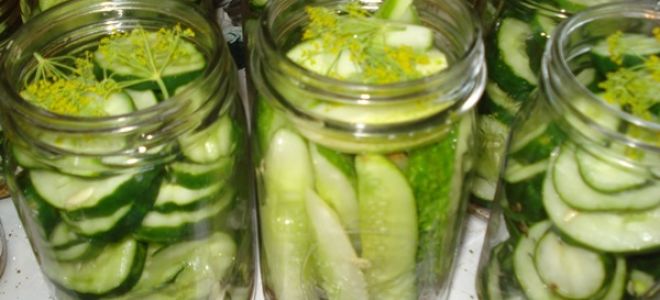 Консервированные огурцы с уксусом на зиму, простые рецепты с фото