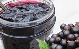 Варенье-желе из черной смородины «пятиминутка» на зиму рецепт с фото